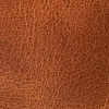 Camel deri